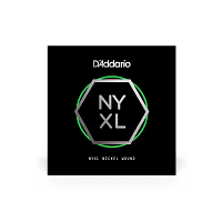 D`ADDARIO NYNW030